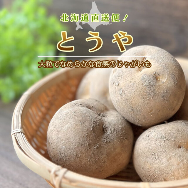 とうや