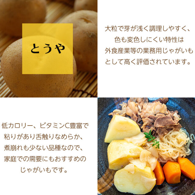 とうや説明01