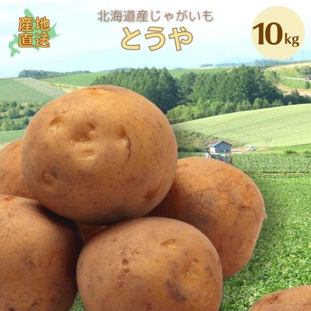 とうや じゃがいも 北海道 通販