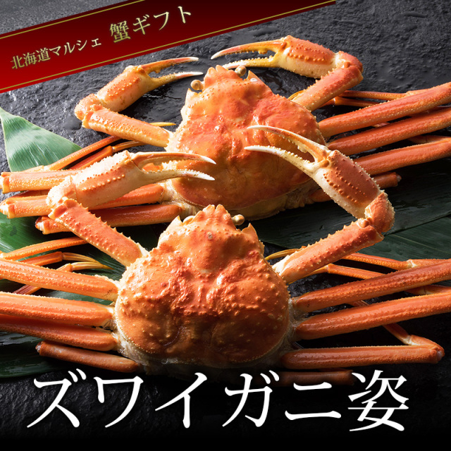 ズワイガニ姿