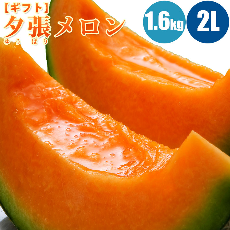 【予約】 夕張メロン1.6kg (2Lサイズ) 1玉/2玉/3玉/4玉/5玉【共撰・優品以上】ギフトに人気の夕張メロン 生育状況により6月下旬もしくは7月上旬より予約順に発送
