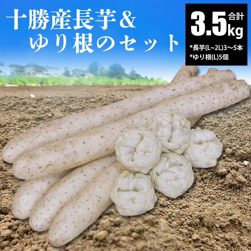 長芋＆ゆり根