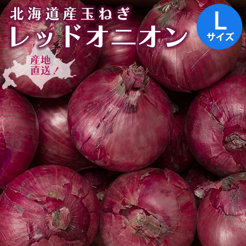 北海道産 レッドオニオン 4kg/8kg Lサイズ