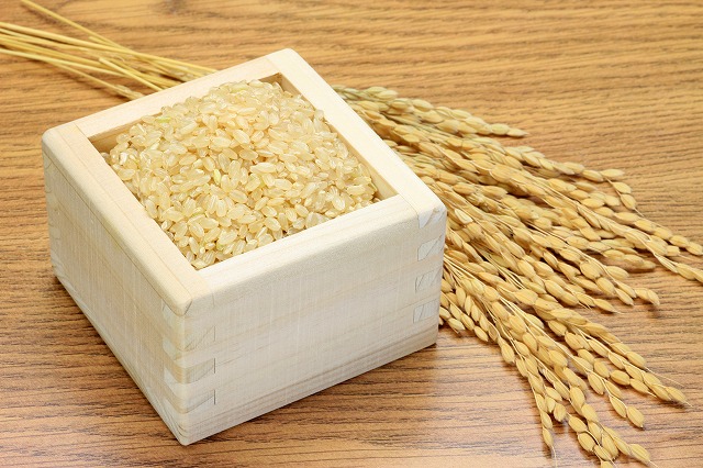 北海道川添農園　農薬節減米 おぼろづき 10kg