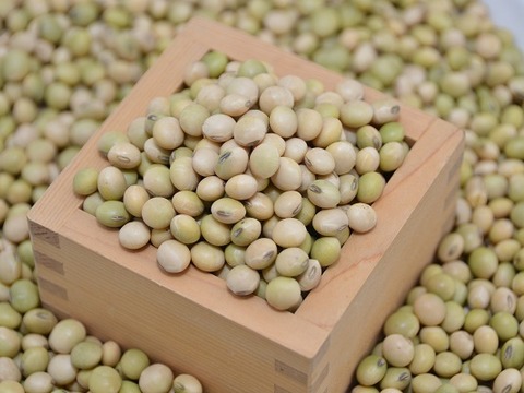 原崎農園 秋野菜セット