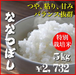 5年産特栽ななつぼし5kg