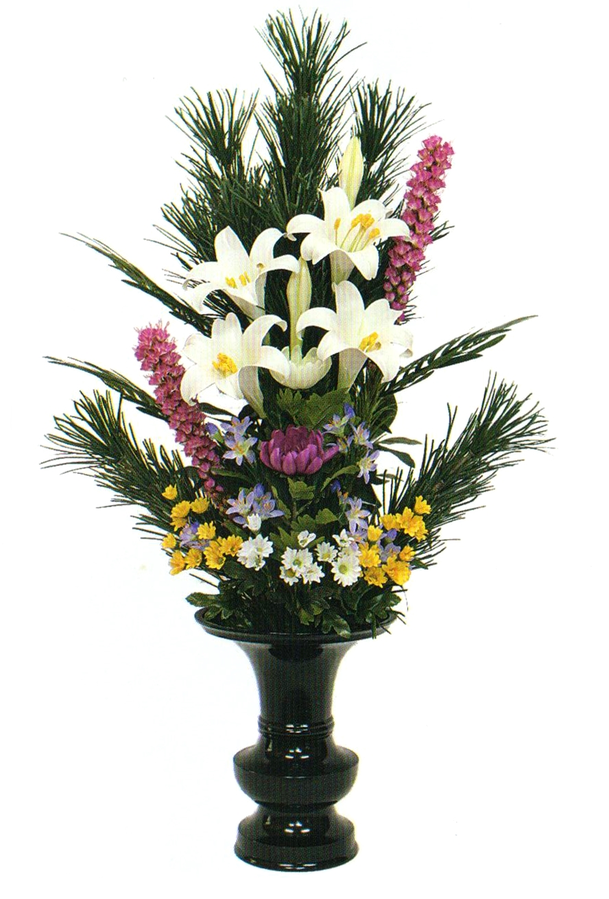 コーヤマキ色花添 水上寸法75cm 1本【24-010】