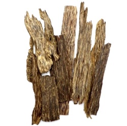 上シャム　薄笹