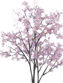 花御堂 桜 ツリーアップ