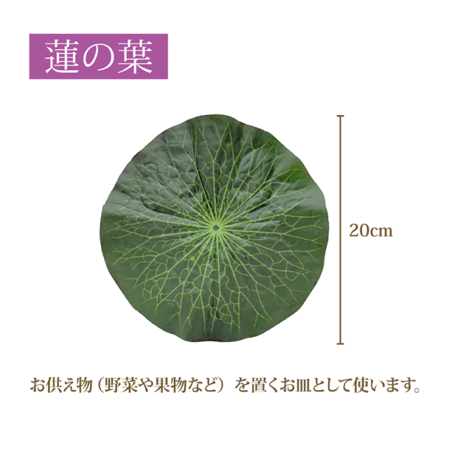 お盆定番セット2