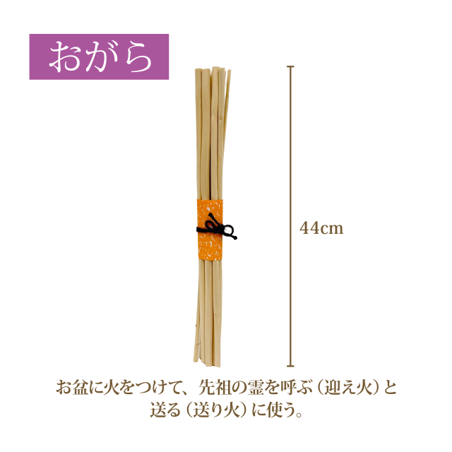 お盆定番セット2