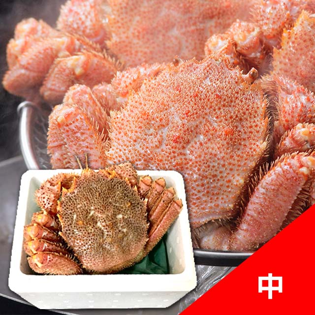 北海道産　毛がに中（450g～550g）1尾