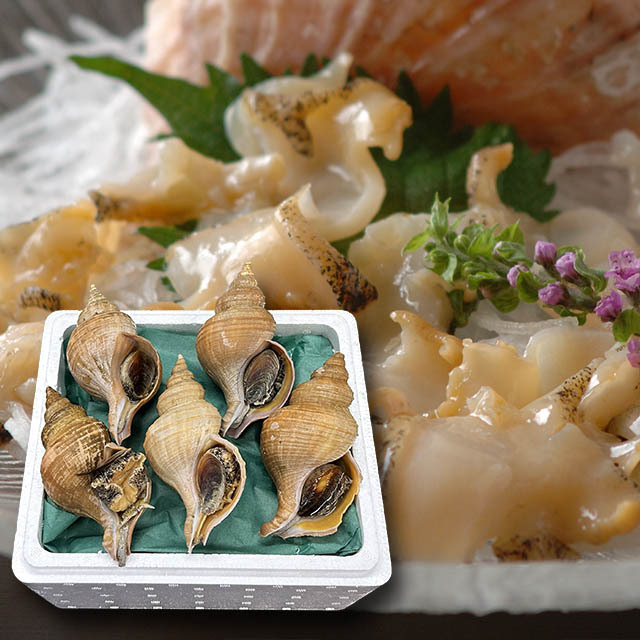 活つぶ1kg（4～5個）