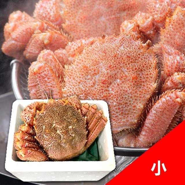 北海道産　毛がに小（350g～450g）1尾