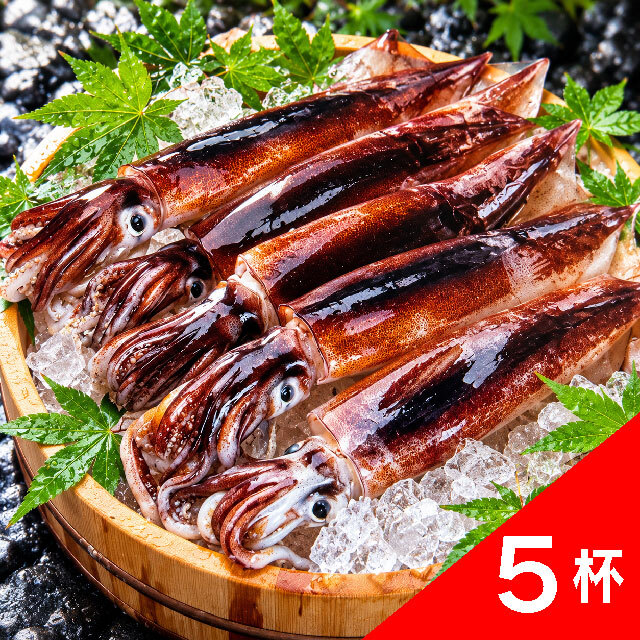 刺身用生するめいか(冷凍)5杯