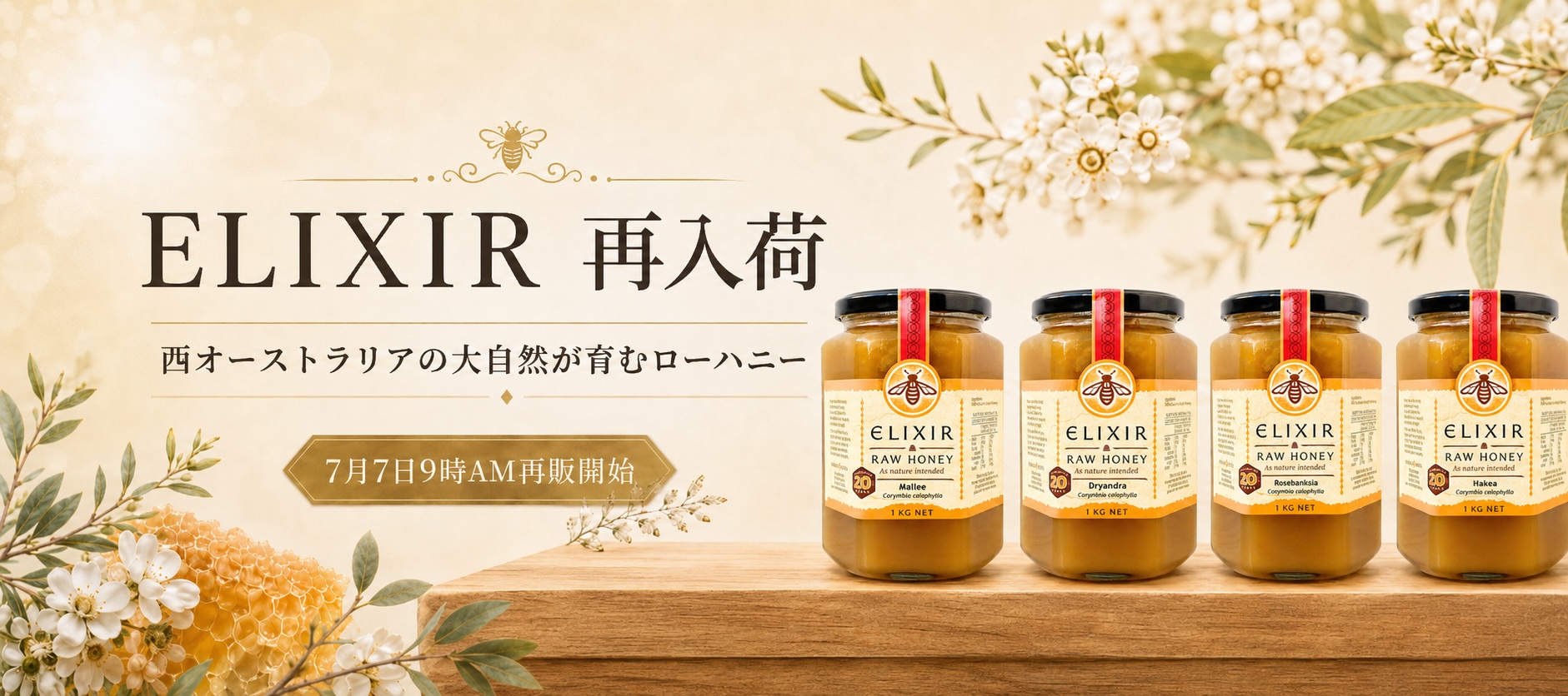 【送料込】HTQ CloverHoney 1kg蜂蜜ルカプリス ホリステティック HOLISTETIQUE（ホリステティック）感性を取り戻し内側からの真の美しさ
