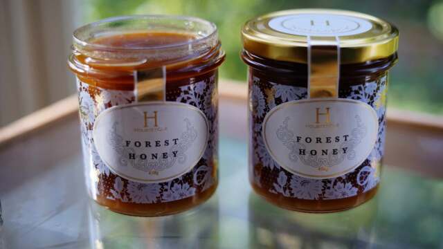 HTQ Forest Honey 450g