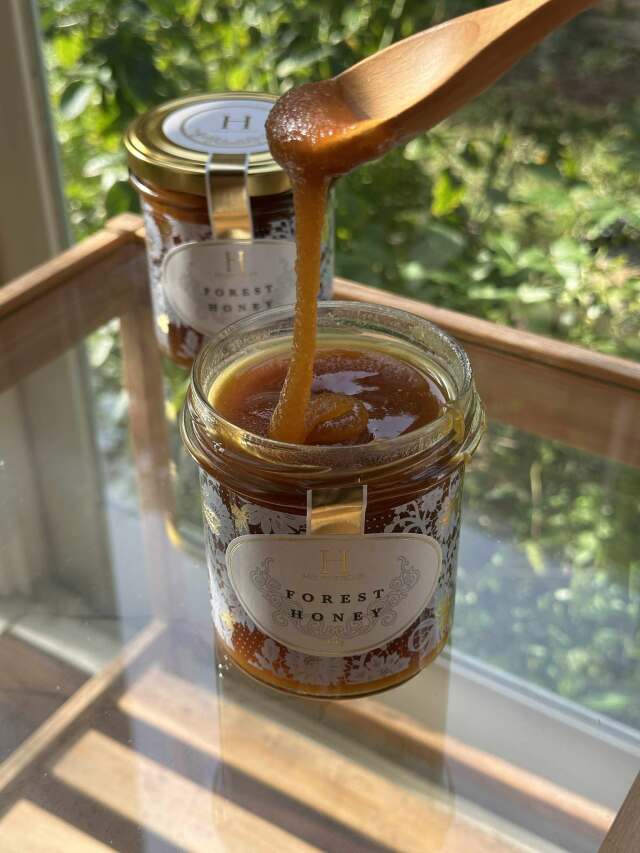 HTQ Forest Honey 450g