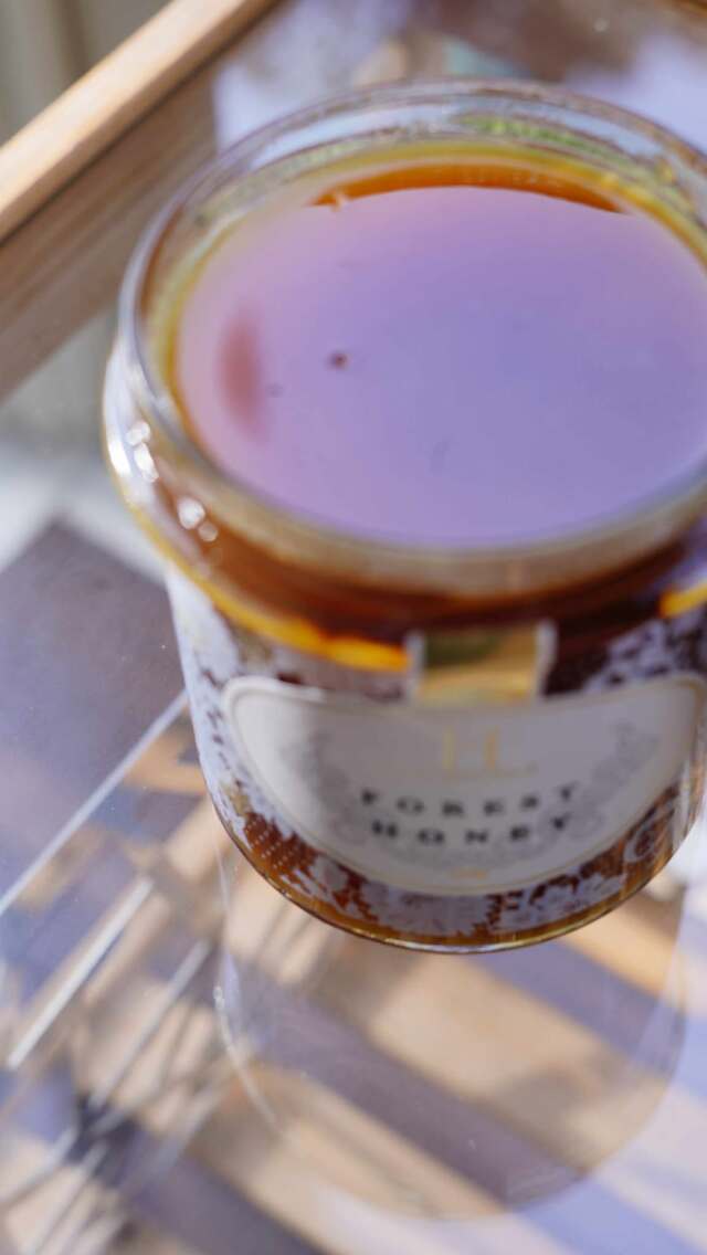 HTQ Forest Honey 450g