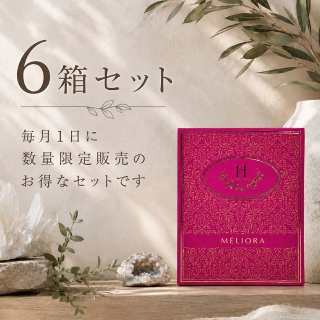 HOLISTETIQUE（ホリステティック）感性を取り戻し内側からの真の美しさ