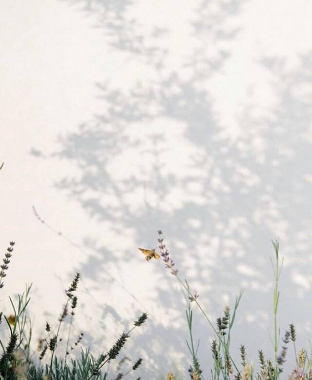 エレメント精油セット 3-GROUNDING