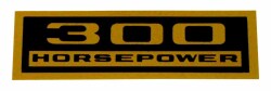 バルブカバー デカール "300 HORSEPOWER"
