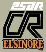 1979 Honda CR250R Elsinoreサイドパネルデカール(PR)