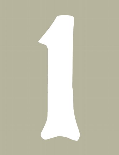 O'Brien 花文字ゼッケン（ホワイト） #1（3ｐｃｓ）