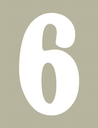 O'Brien 花文字ゼッケン（ホワイト） #6（3ｐｃｓ）