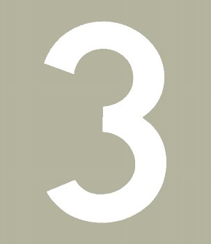 Hallman ゼッケン（ホワイト） #3（3ｐｃｓ）