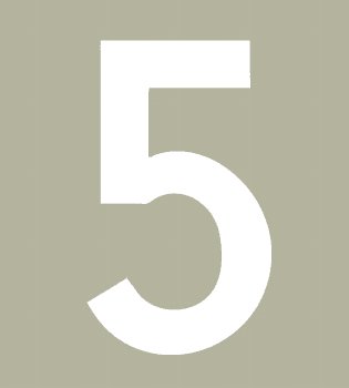 Hallman ゼッケン（ホワイト） #5（3ｐｃｓ）