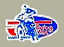 JT Racing Marty Smithデカール