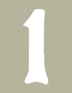 O'Brien 花文字ゼッケン（ホワイト） #1（3ｐｃｓ）