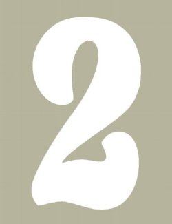 O'Brien 花文字ゼッケン（ホワイト） #2（3ｐｃｓ）