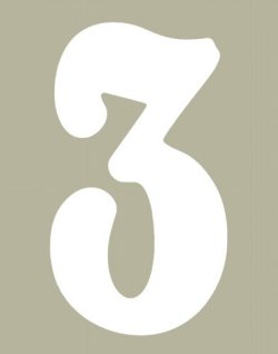 O'Brien 花文字ゼッケン（ホワイト） #3（3ｐｃｓ）