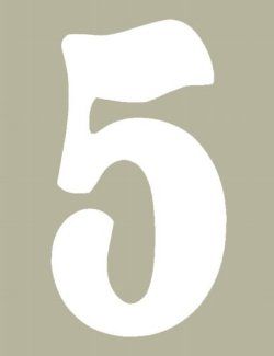 O'Brien 花文字ゼッケン（ホワイト） #5（3ｐｃｓ）