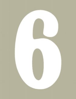O'Brien 花文字ゼッケン（ホワイト） #6（3ｐｃｓ）