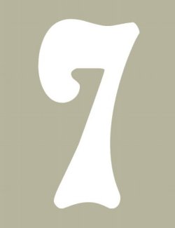 O'Brien 花文字ゼッケン（ホワイト） #7（3ｐｃｓ）