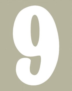 O'Brien 花文字ゼッケン（ホワイト） #9（3ｐｃｓ）