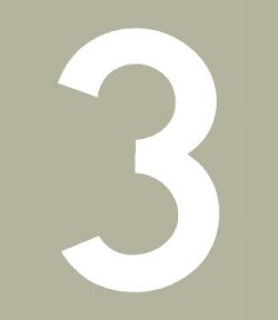 Hallman ゼッケン（ホワイト） #3（3ｐｃｓ）