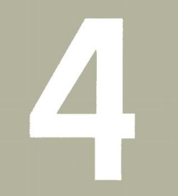 Hallman ゼッケン（ホワイト） #4（3ｐｃｓ）