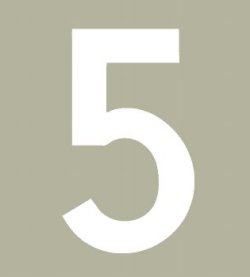 Hallman ゼッケン（ホワイト） #5（3ｐｃｓ）