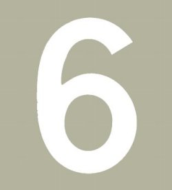 Hallman ゼッケン（ホワイト） #6（3ｐｃｓ）