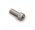 TM250 ソケットボルト／フロントフォーク底　１０ｍｍ