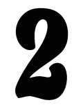 O'Brien 花文字ゼッケン（ブラック） #2（3ｐｃｓ）
