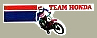 Vintage Team Hondaロゴ