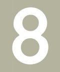 Hallman ゼッケン（ホワイト） #8（3ｐｃｓ）