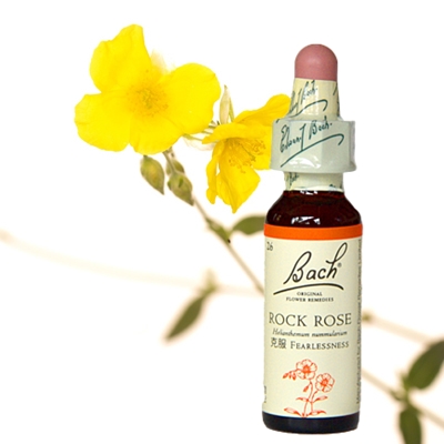 26:ロックローズ（グリセリン）