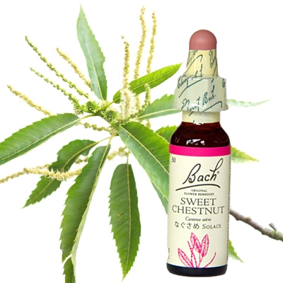 30:スィートチェストナット（グリセリン）