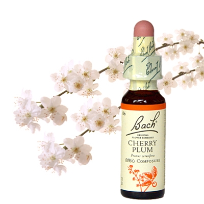 6:チェリープラム（グリセリン）